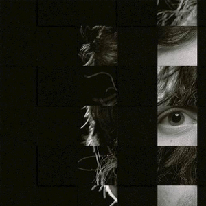 肥厚的牦户图片
