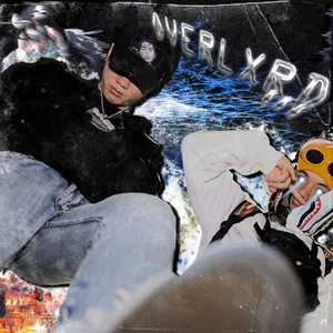 肥厚的牦户图片
