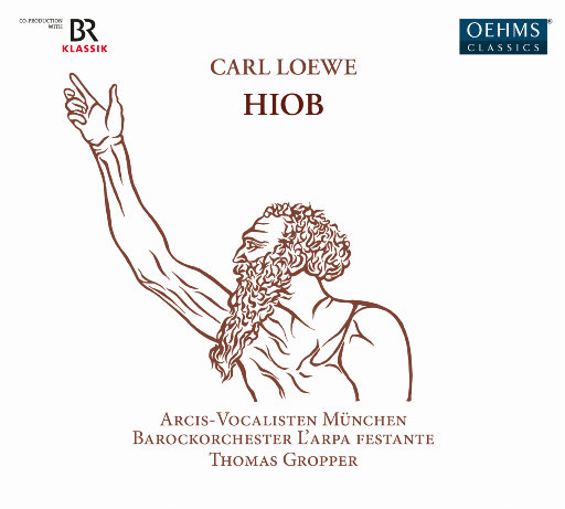 肥厚的牦户图片
